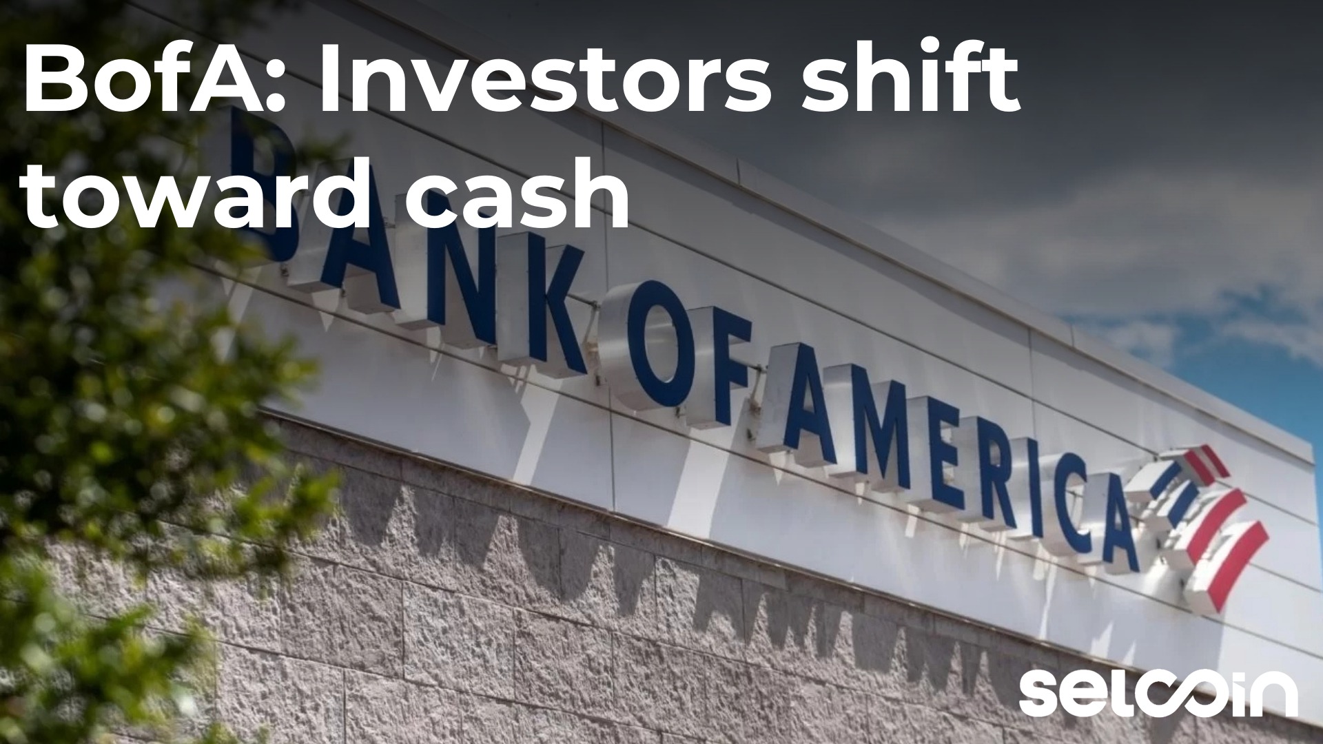 BofA: Investors shift toward cash
