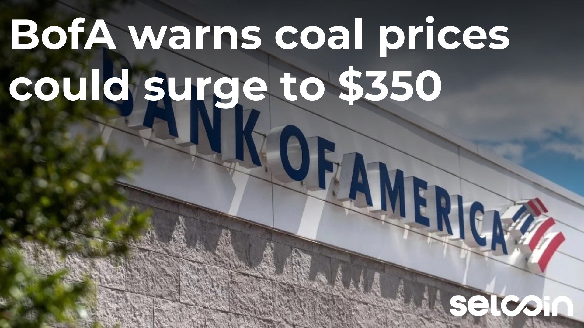 BofA warns coal prices could surge to $350