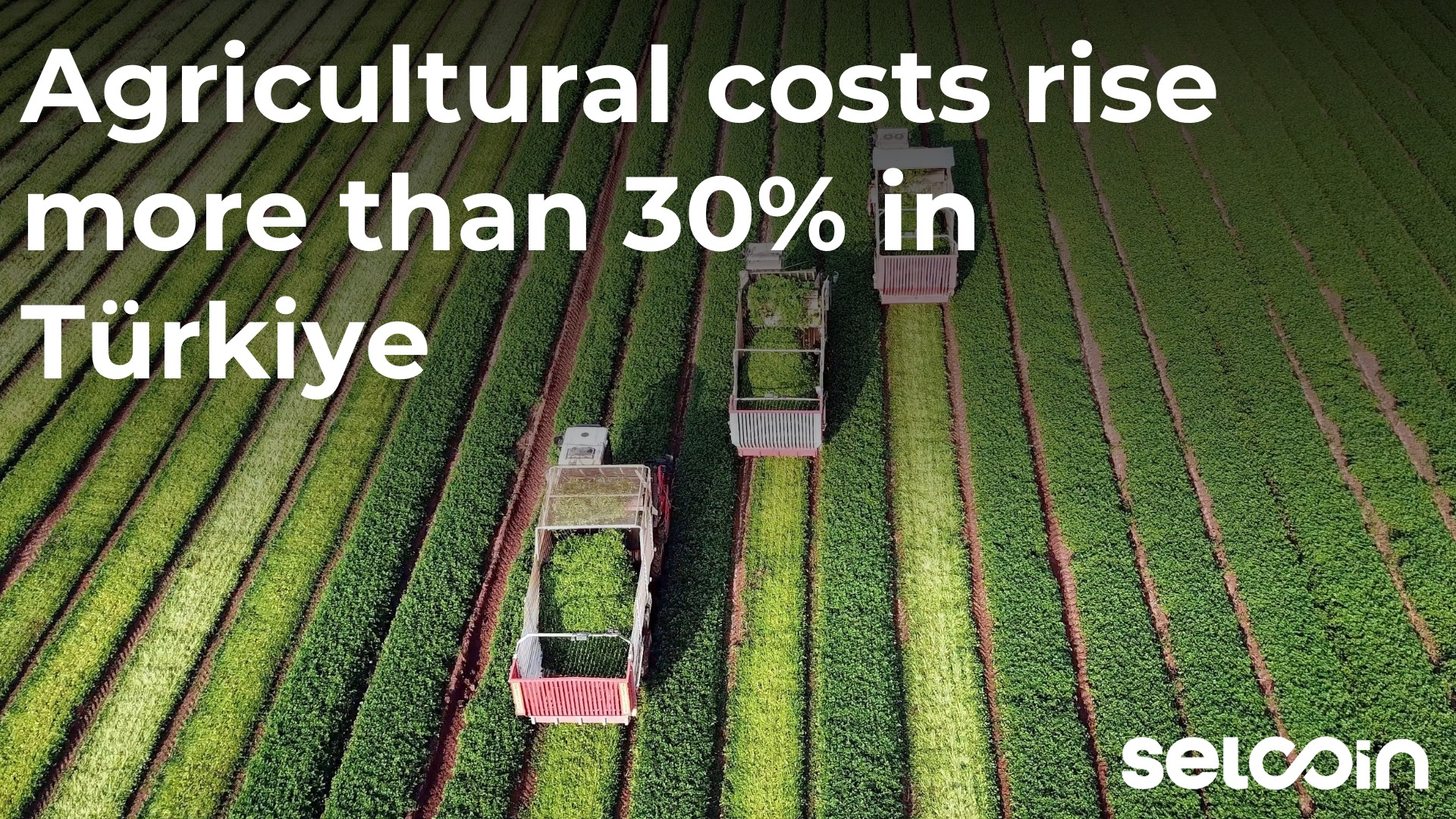 Agricultural costs rise more than 30% in Türkiye