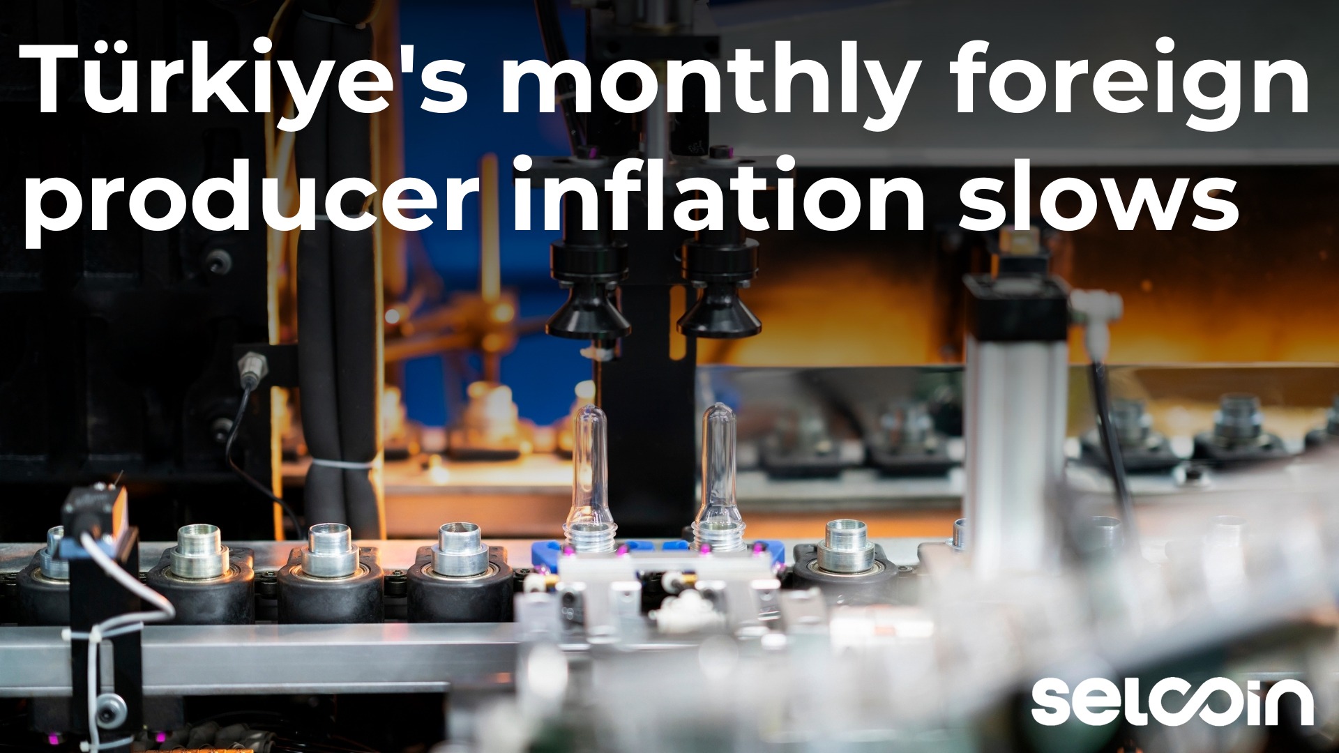 Türkiye's monthly foreign producer inflation slows